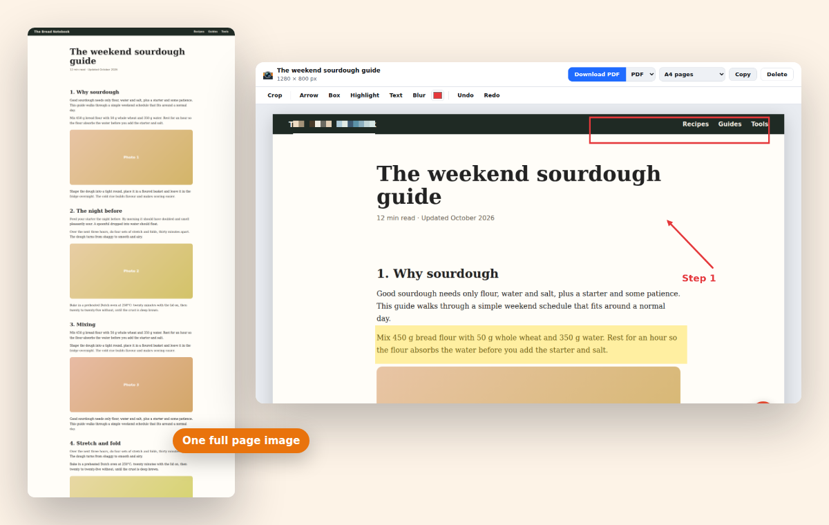 A full page screenshot of a long article next to the editor with highlights and arrows